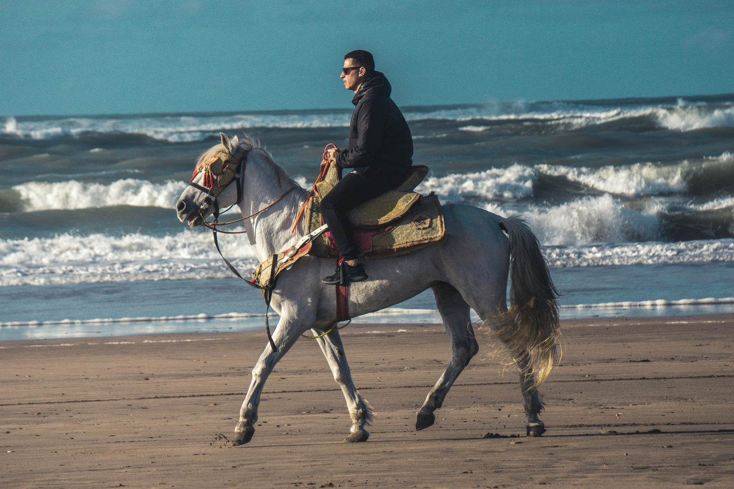 Paradera, Aruba: Wariruri Beach Trail Ride Experience + Pick-Up