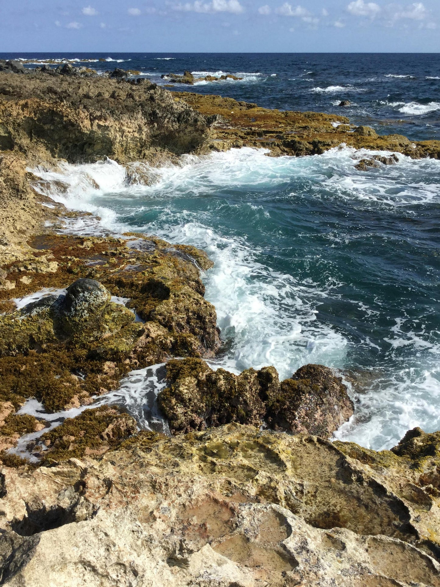 Paradera, Aruba: Scenic Beach Horseback Adventure + Pick-Up