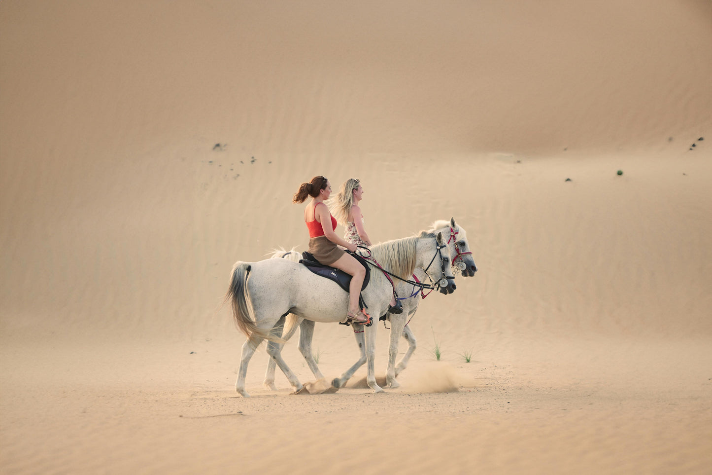 Abu Dhabi, UAE: 50-Minute Supervised Pony Ride on the Beach