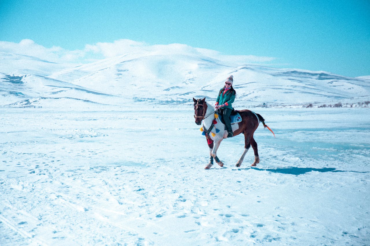 Ulaanbaatar, Mongolia: Full-Day Horse Ride in Terelj National Park + BBQ Lunch