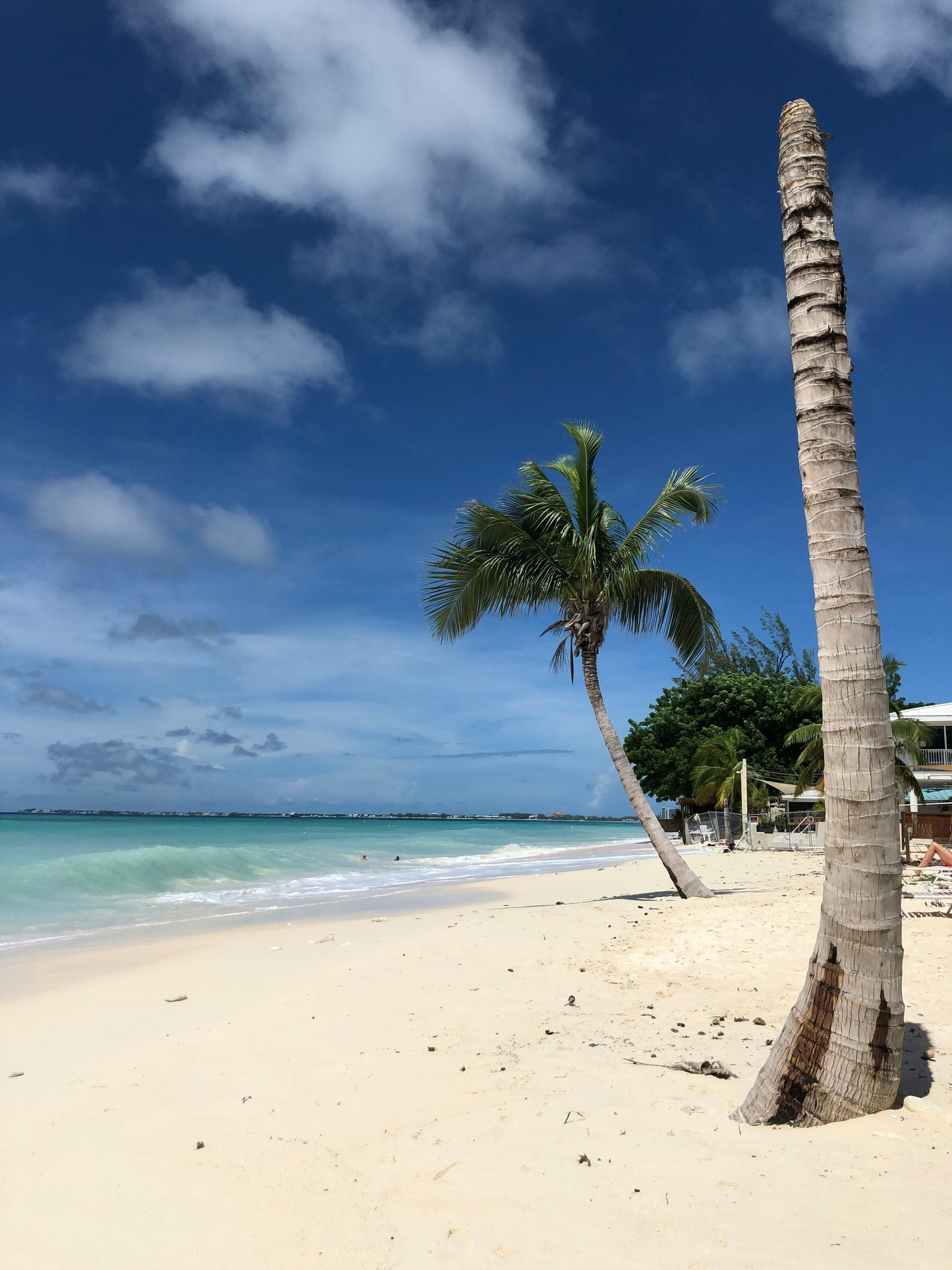 Barkers Beach, Cayman Islands: 1-Hour Beach Horseback Riding
