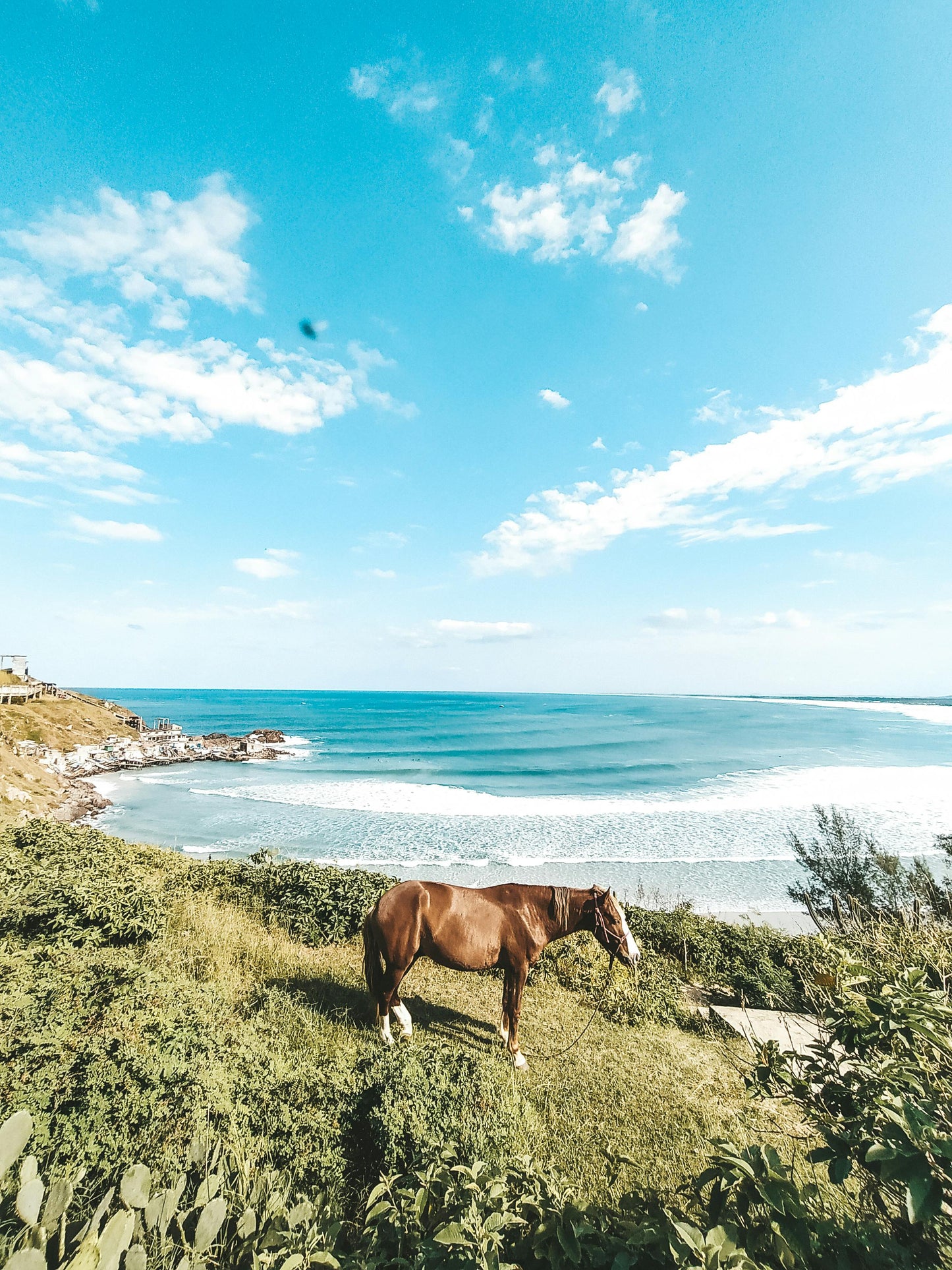 Fiji: Coastal & Mountain Horseback Escape + Picnic Lunch + Pick-Up Available