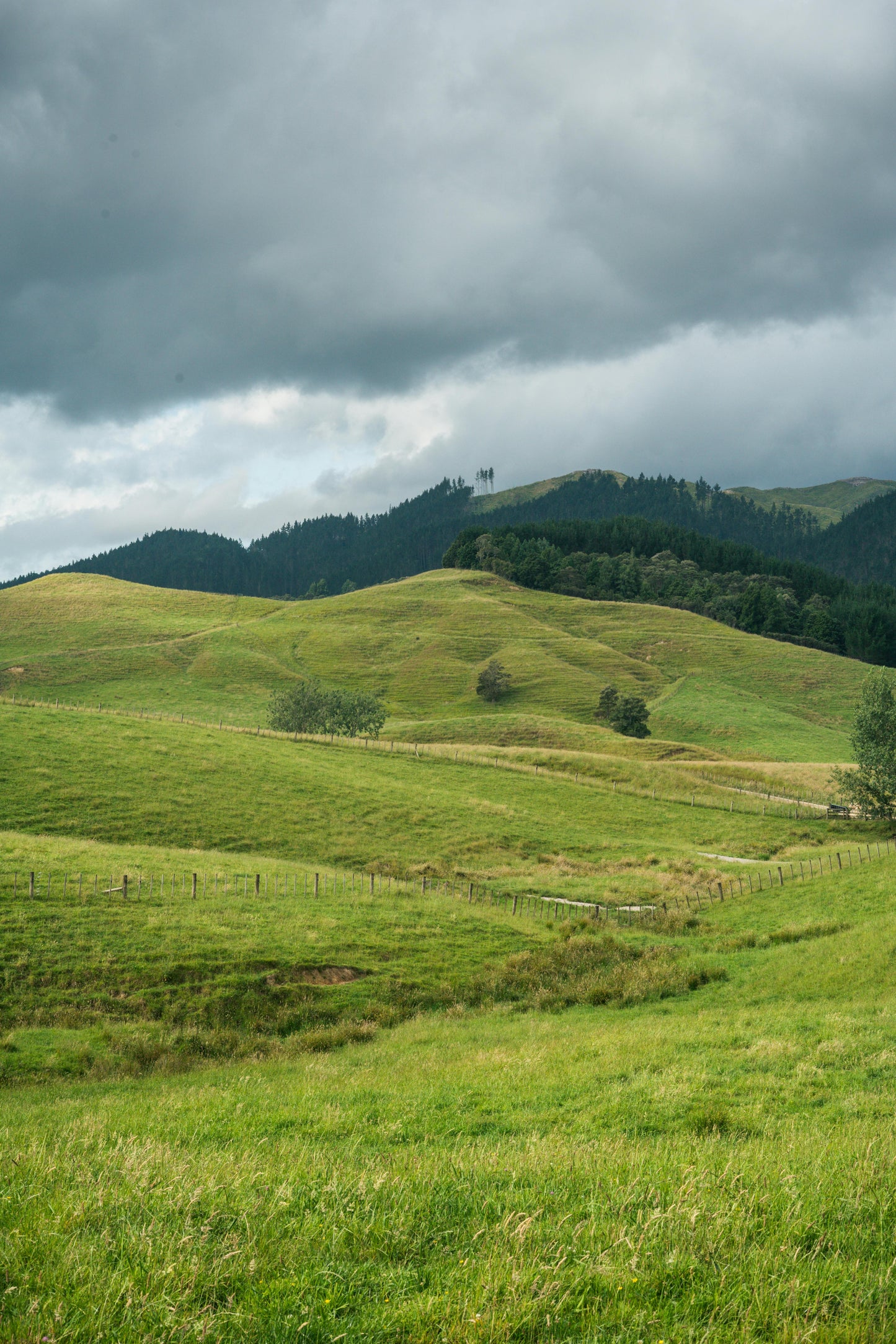 Estancia: 2-Hour Scenic & Relaxing Horse Ride + Lunch