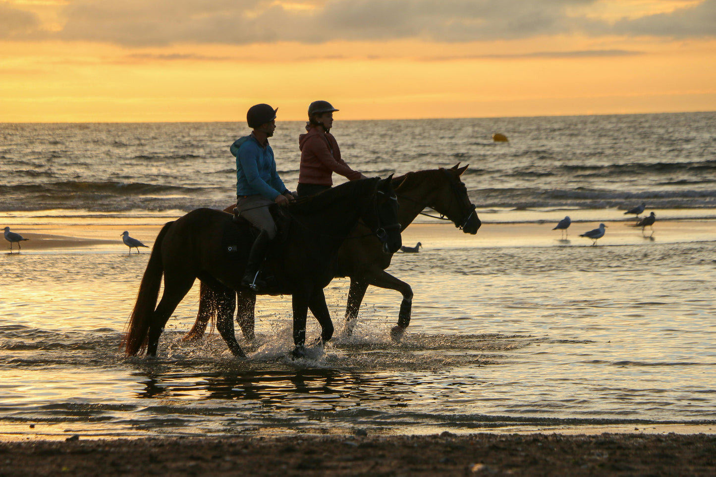 Denpasar, Bali, Indonesia: 1-Hour Horseback Ride on Seminyak Beach