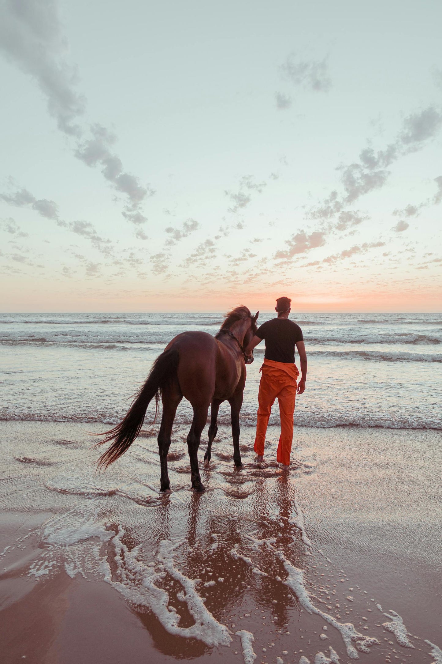 Abu Dhabi, UAE: 50-Minute Supervised Pony Ride on the Beach