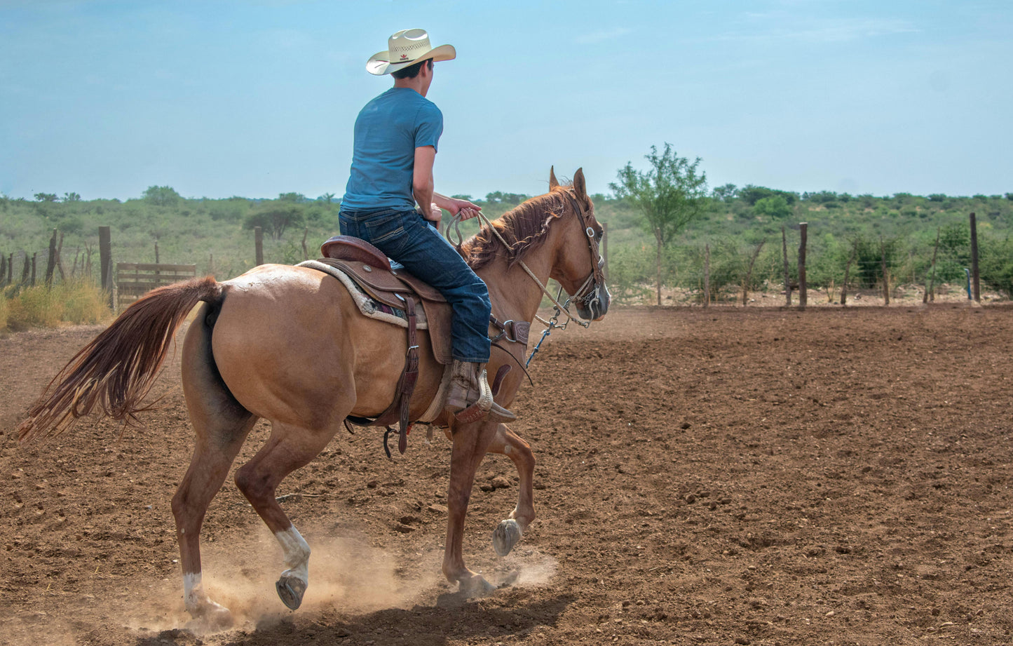 Utah, USA: 2-Hour Adventurous Horse Ride