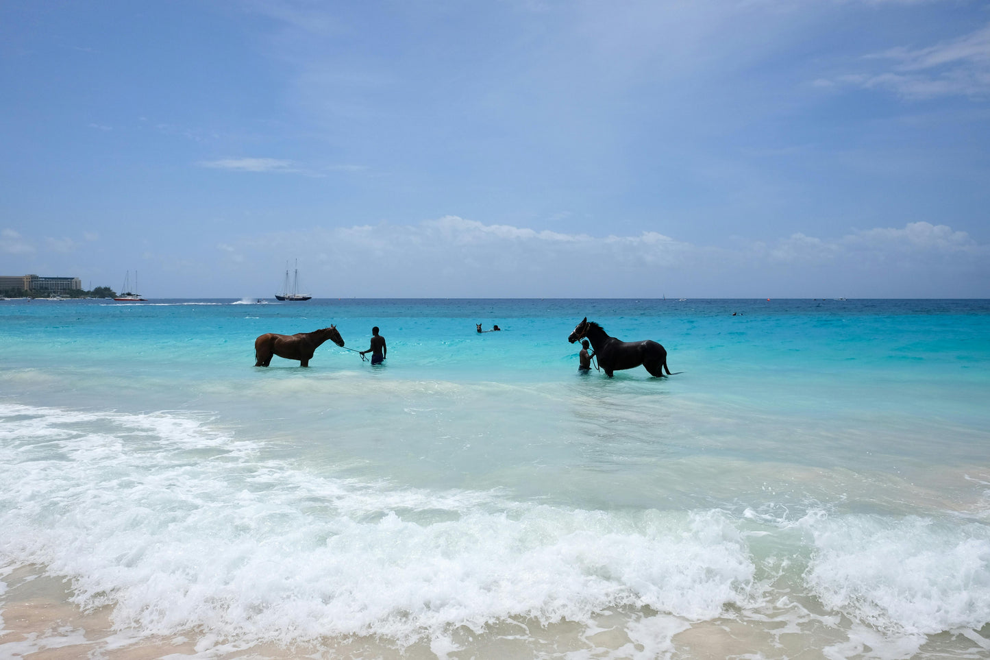 Zanzibar, Tanzania: 30-Minute Kendwa Horse Swim Experience