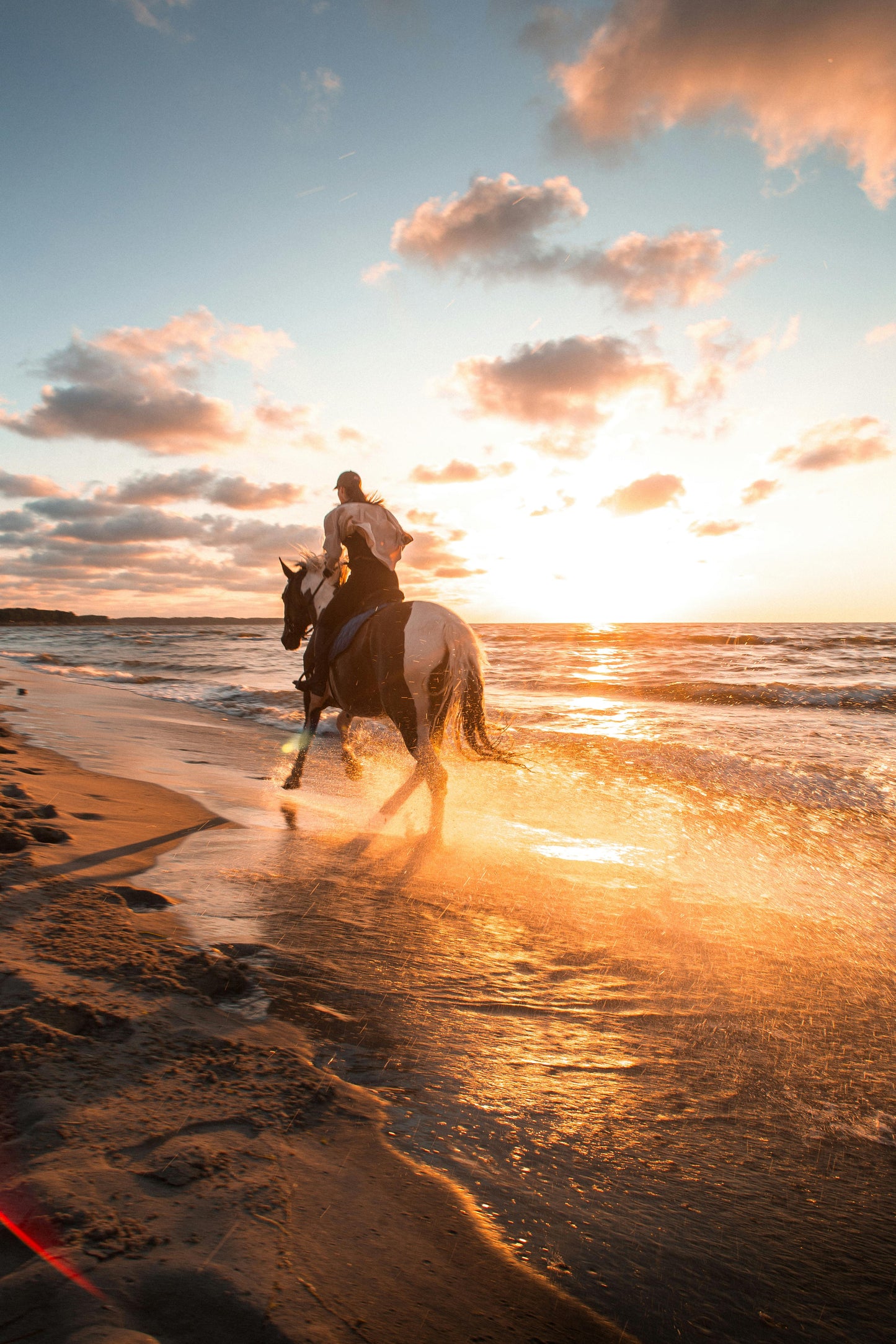 Barkers Beach, Cayman Islands: 1-Hour Beach Horseback Riding