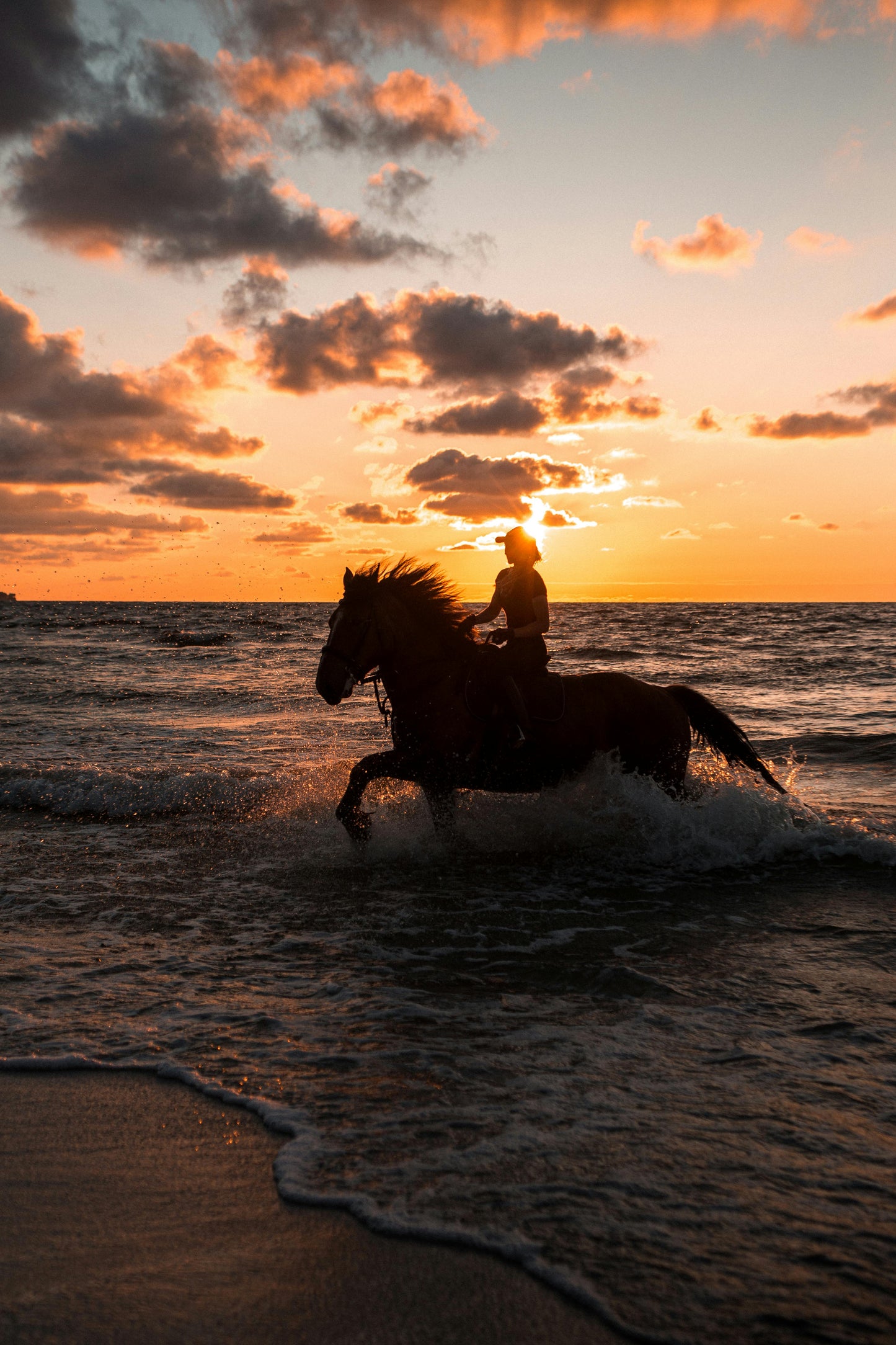 Paradera, Aruba: Scenic Beach Horseback Adventure + Pick-Up