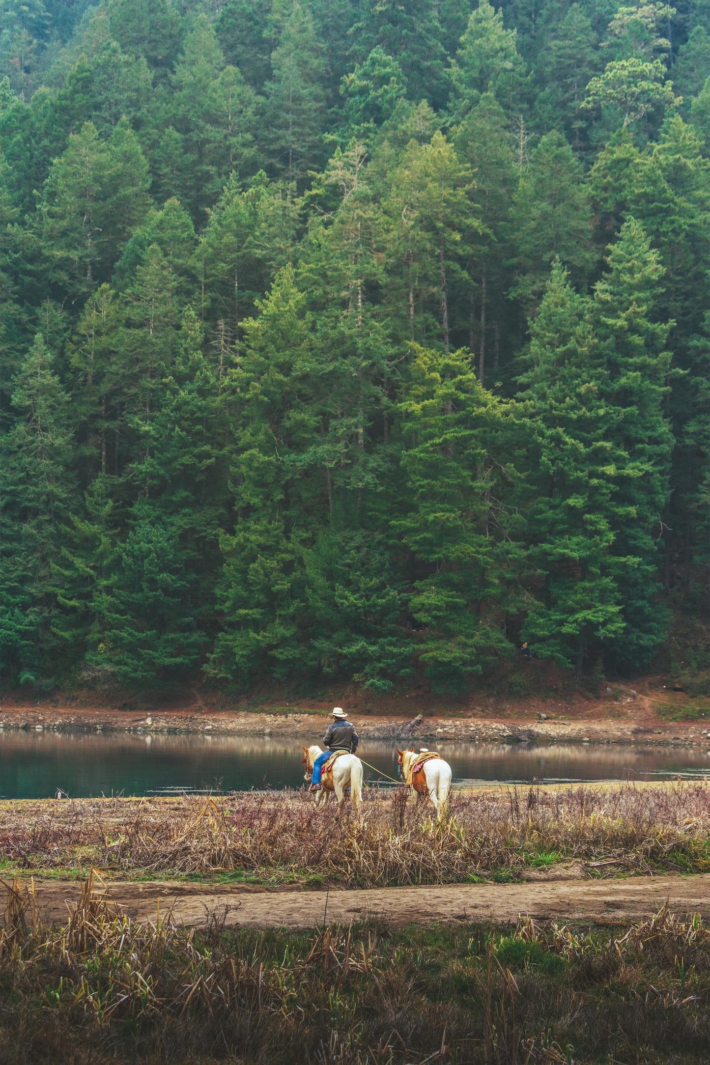 Gjirokaster, Albania: Qestorati Lakeside Horseback Adventure