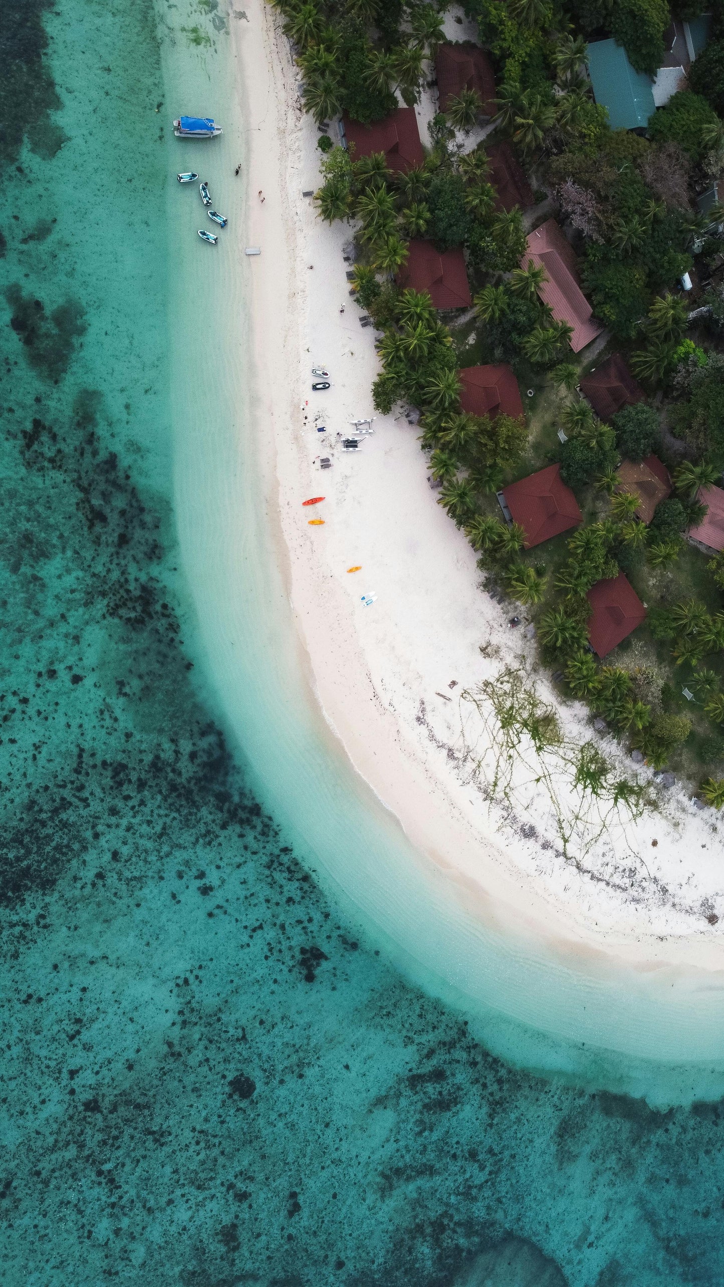 Fiji: Coastal & Mountain Horseback Escape + Picnic Lunch + Pick-Up Available