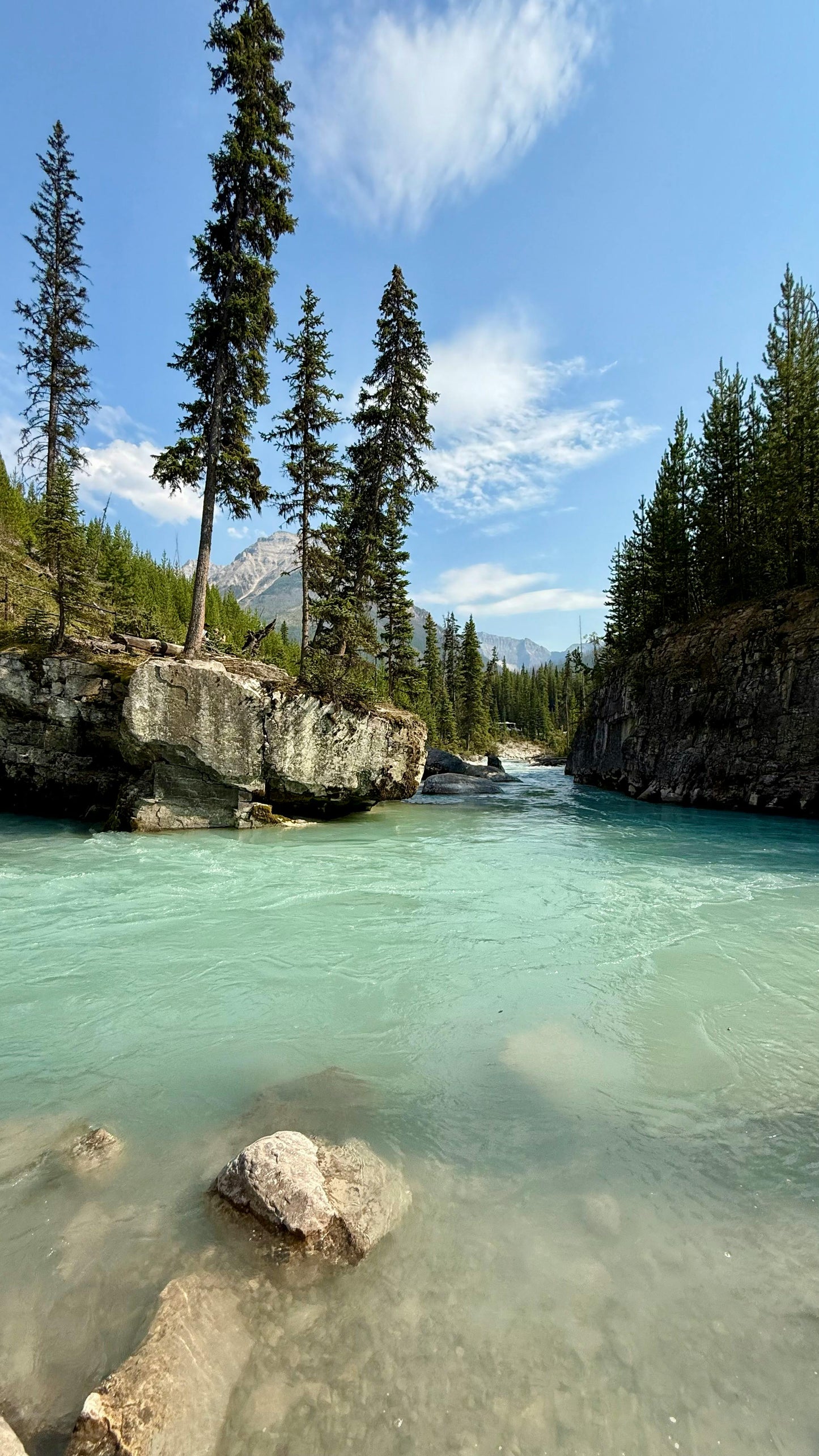 Alberta, Canada: 1-Hour Horseback Ride by the Spray river