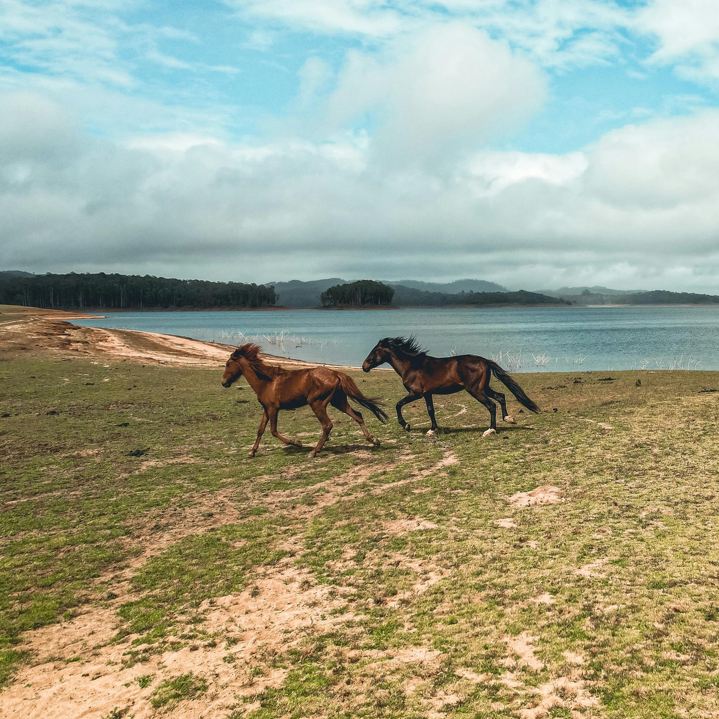 Fiji: Coastal & Mountain Horseback Escape + Picnic Lunch + Pick-Up Available