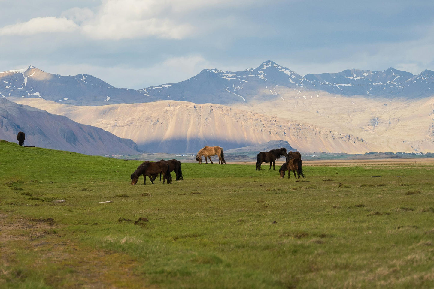 Hafnarfjörður: 3-Hour Viking Horse Back Riding Tour