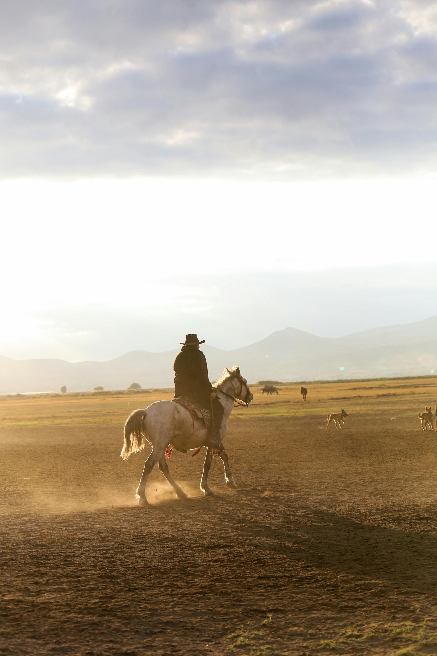 Utah, USA: 2-Hour Adventurous Horse Ride