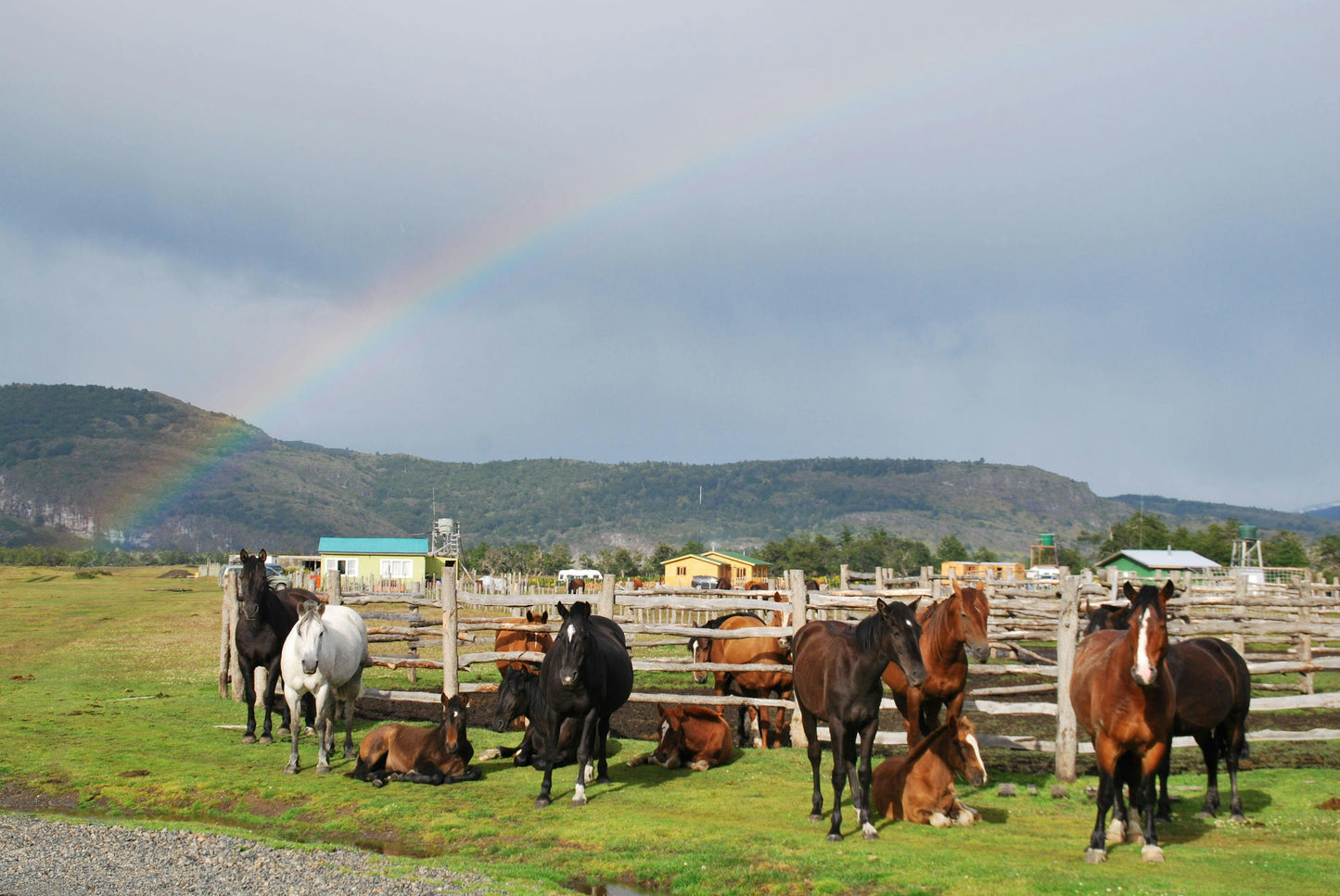 Patagonia: Full Day Horse Ride Connection in Lake Figueroa + Lunch + Pick Up