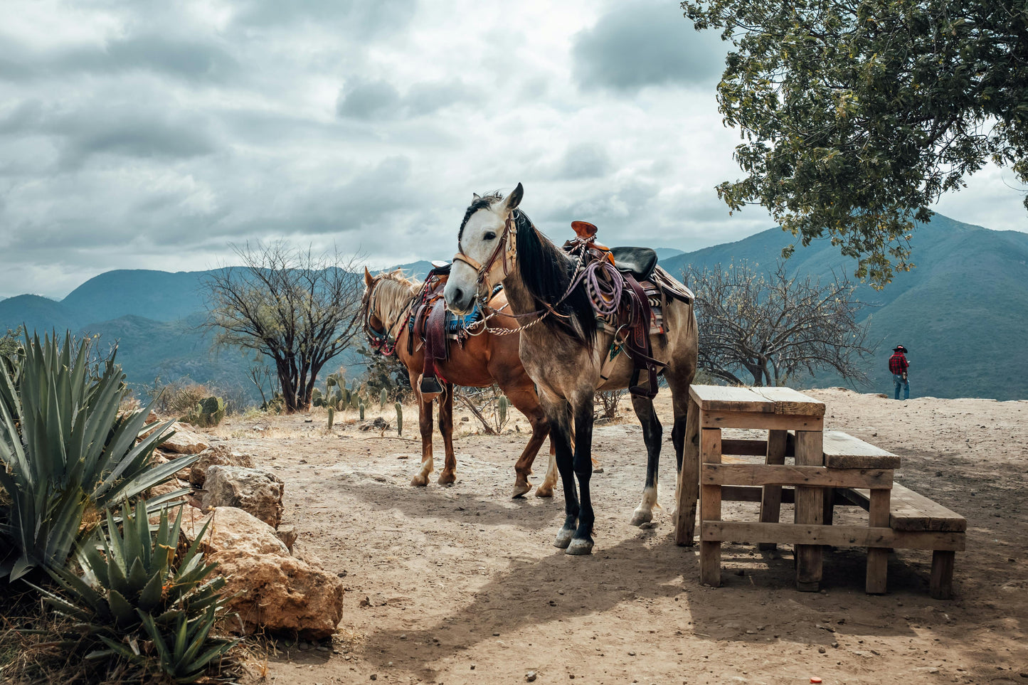 Arizona: Private Sunset Picnic Horseback Ride + Wine Tasting + Pick-up Available