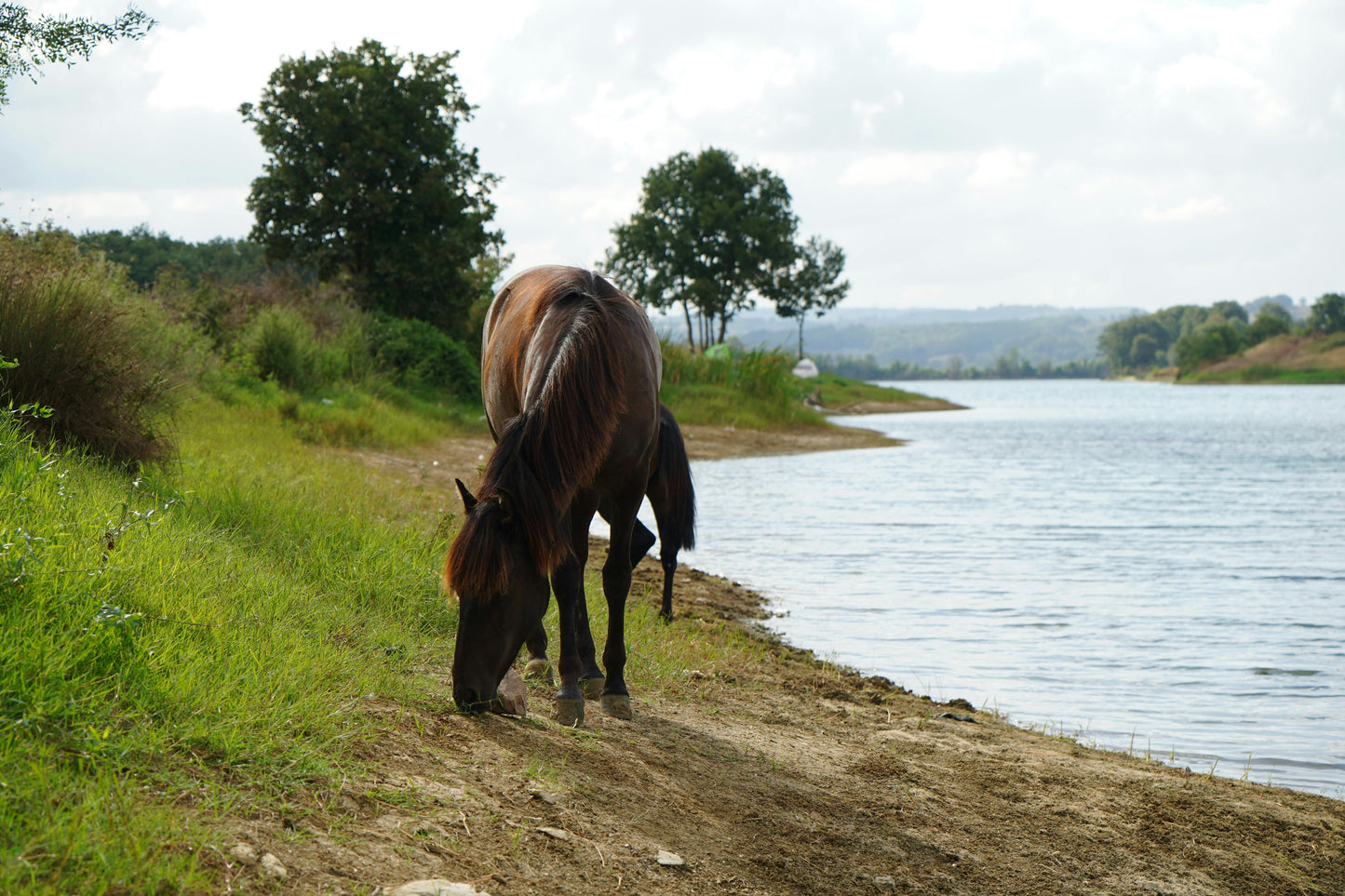 Gjirokaster, Albania: 2-Hour Drino Valley Trail Ride