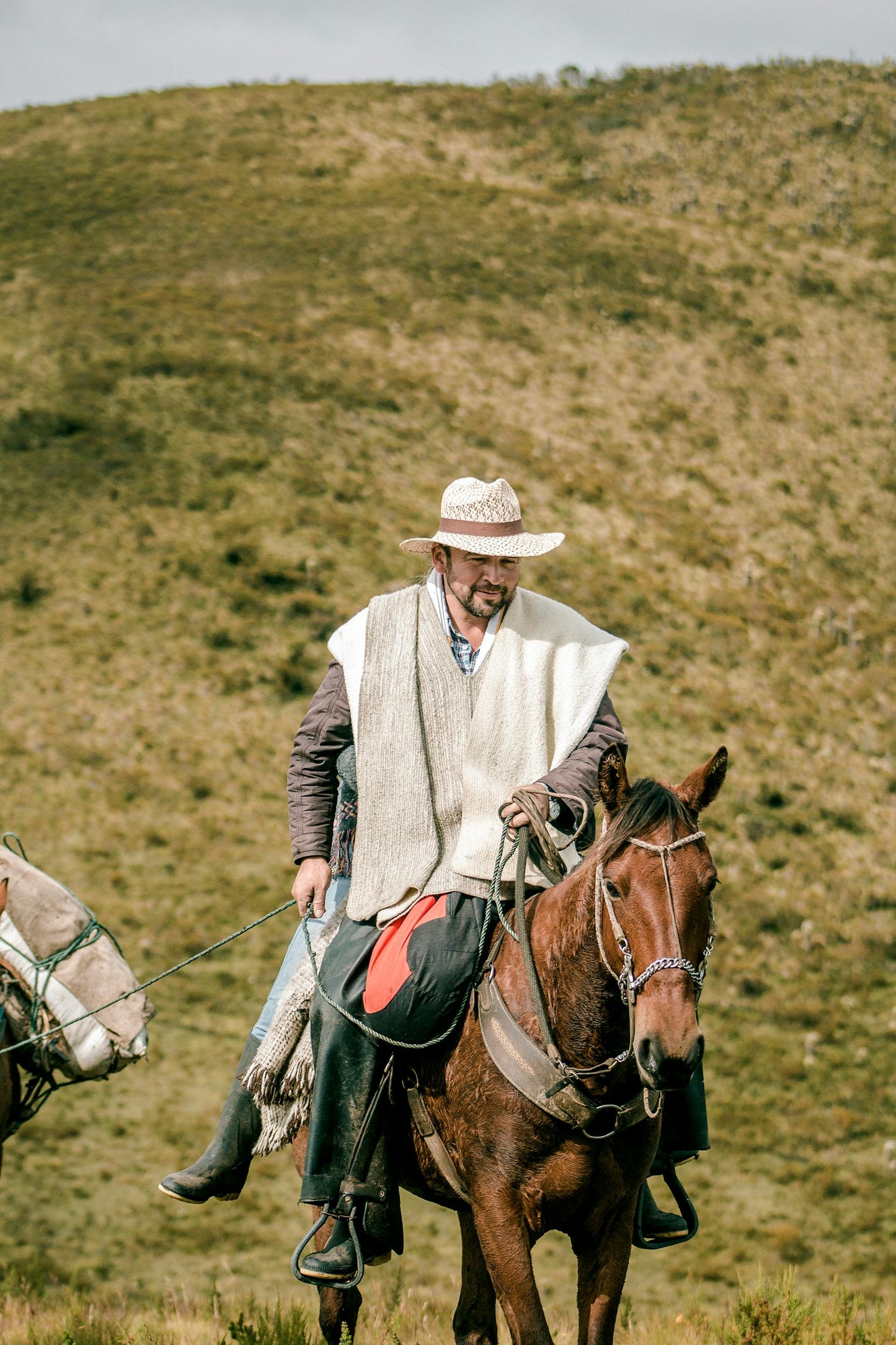 Húsavík, Iceland: Saltvík Horseback Riding Tour + Pick-Up Available