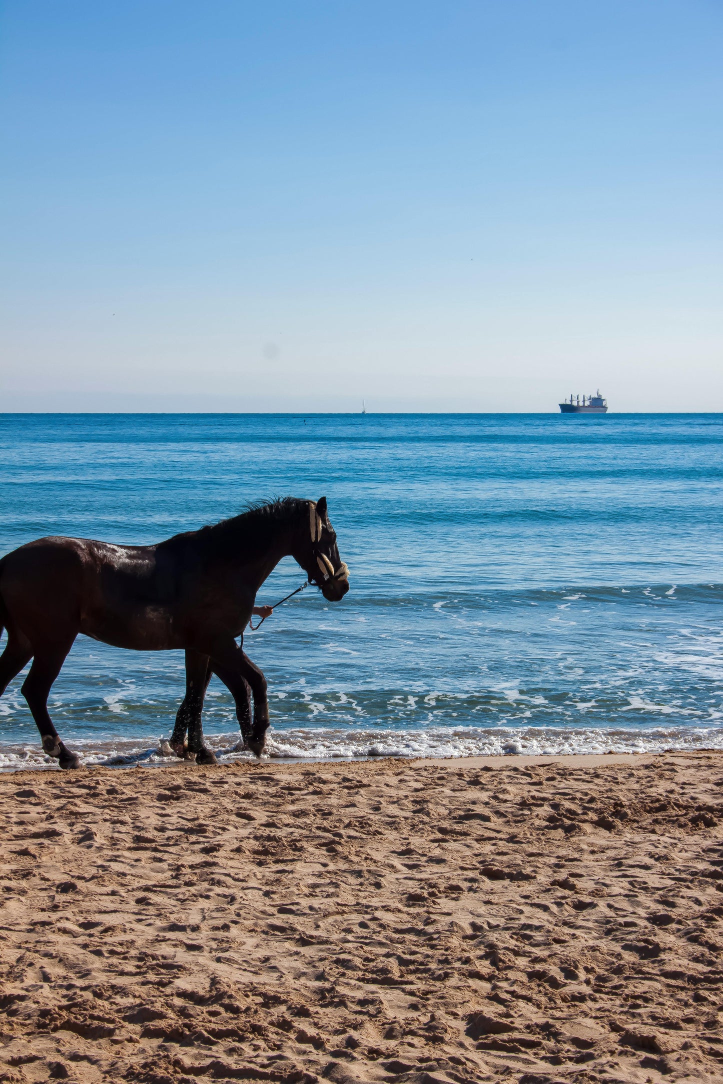 Tabanan, Bali, Indonesia: 1.5-Hour Beach Horse Ride at Kedungu
