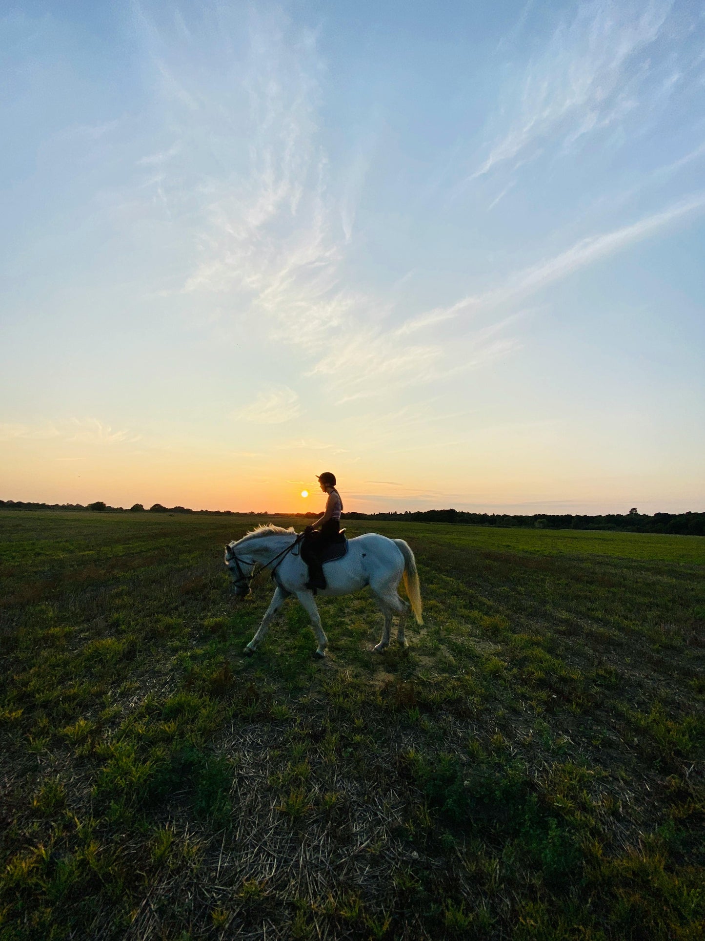 Perth, Australia: 1-Hour Scenic Horseback Trail Adventure