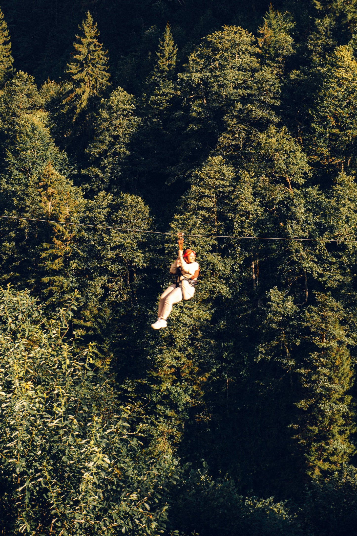 Michigan: Zipline Adventure Tour + Pick-up Available