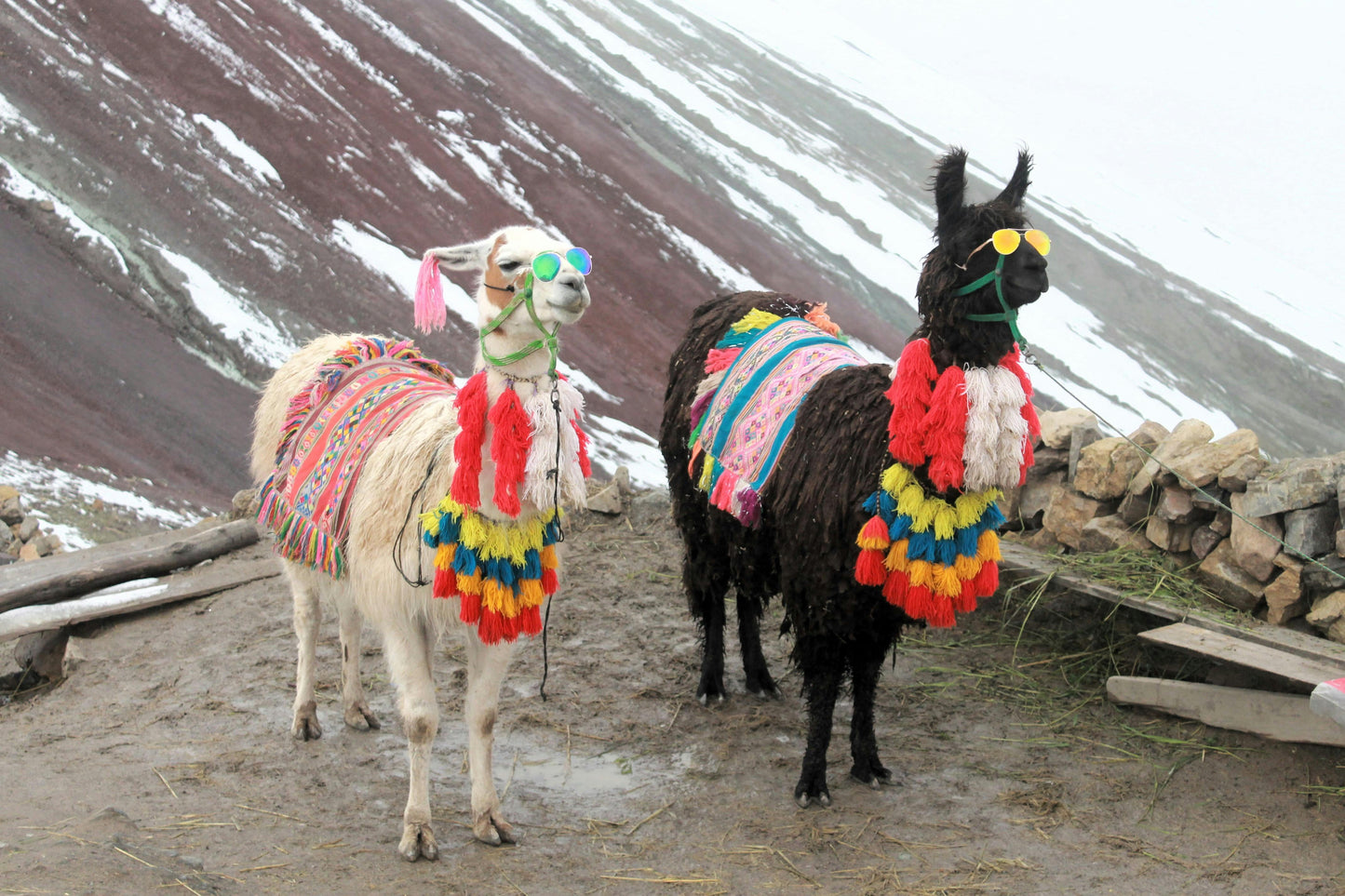 Cusco: Full-Day Rainbow Mountain Horse Ride + Lunch + Pick up