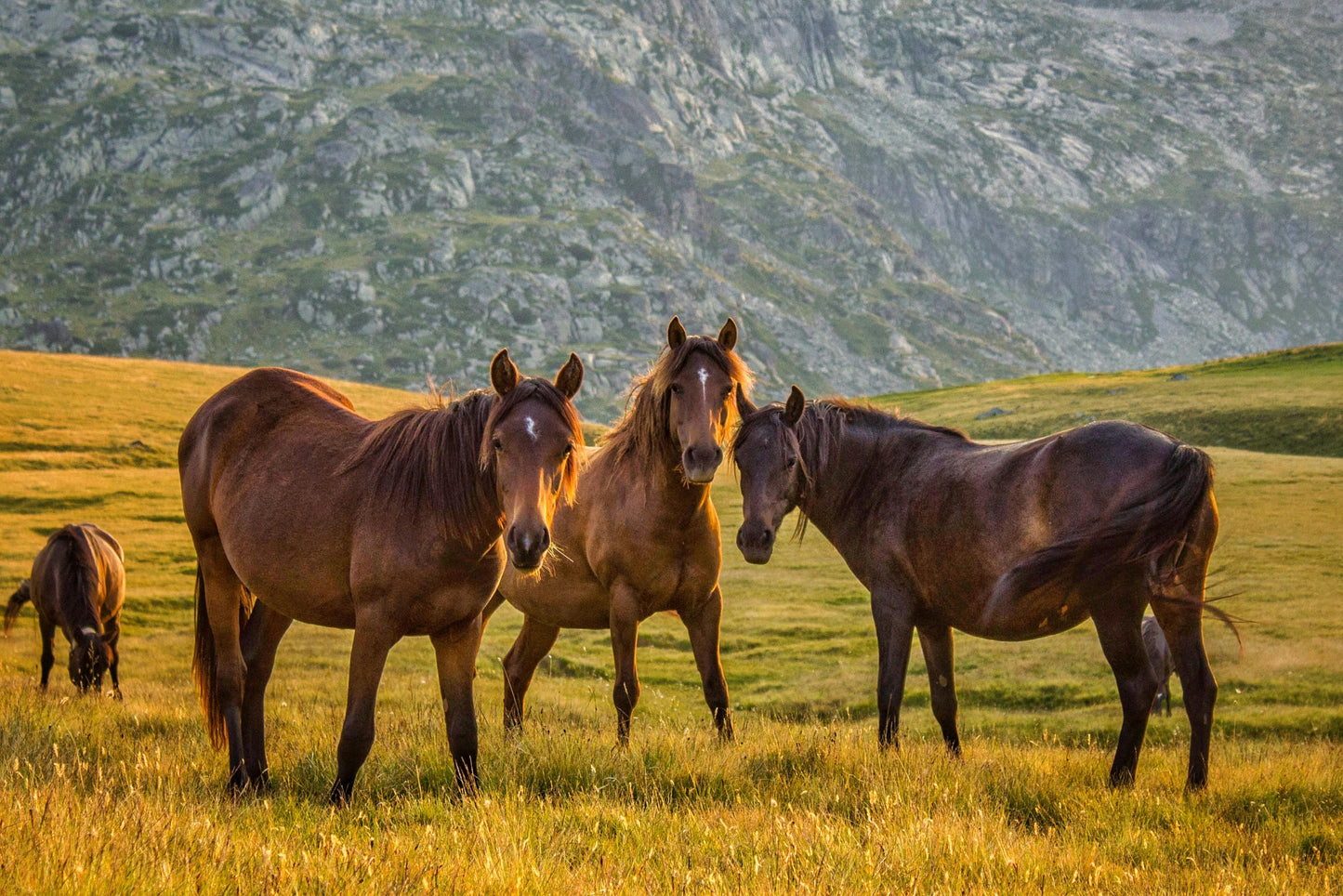 Kauai, Hawaii: 2-Hour Mahaʻulepu Horseback Tour with Ocean, Mountain & Valley Views