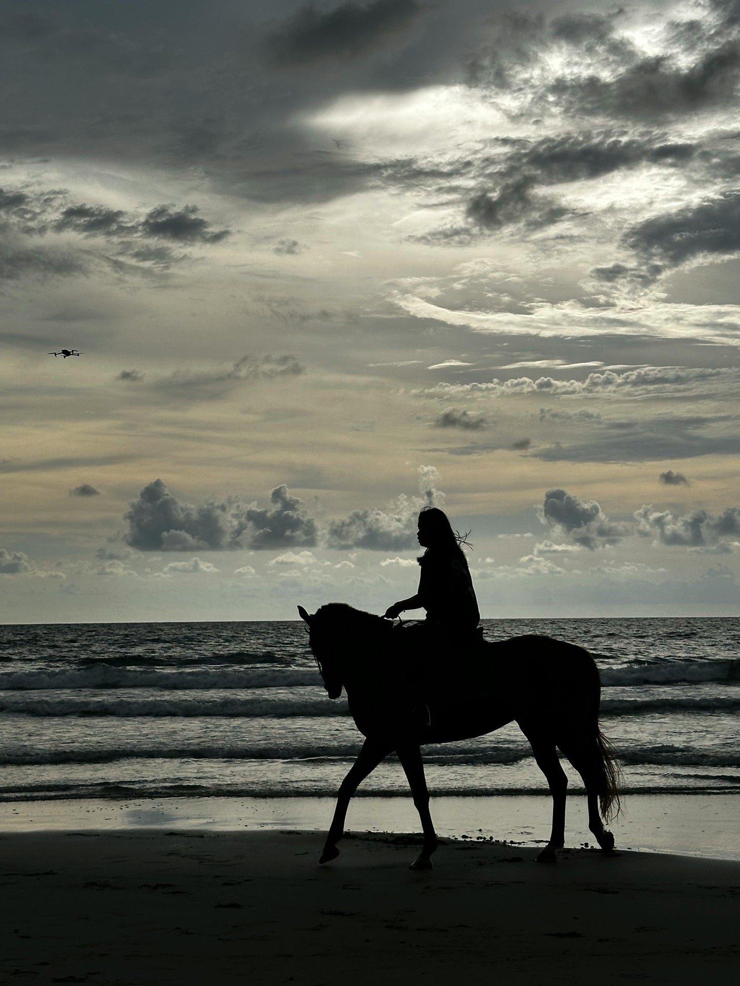 Aguadilla, Puerto Rico: Beach Horseback Experience