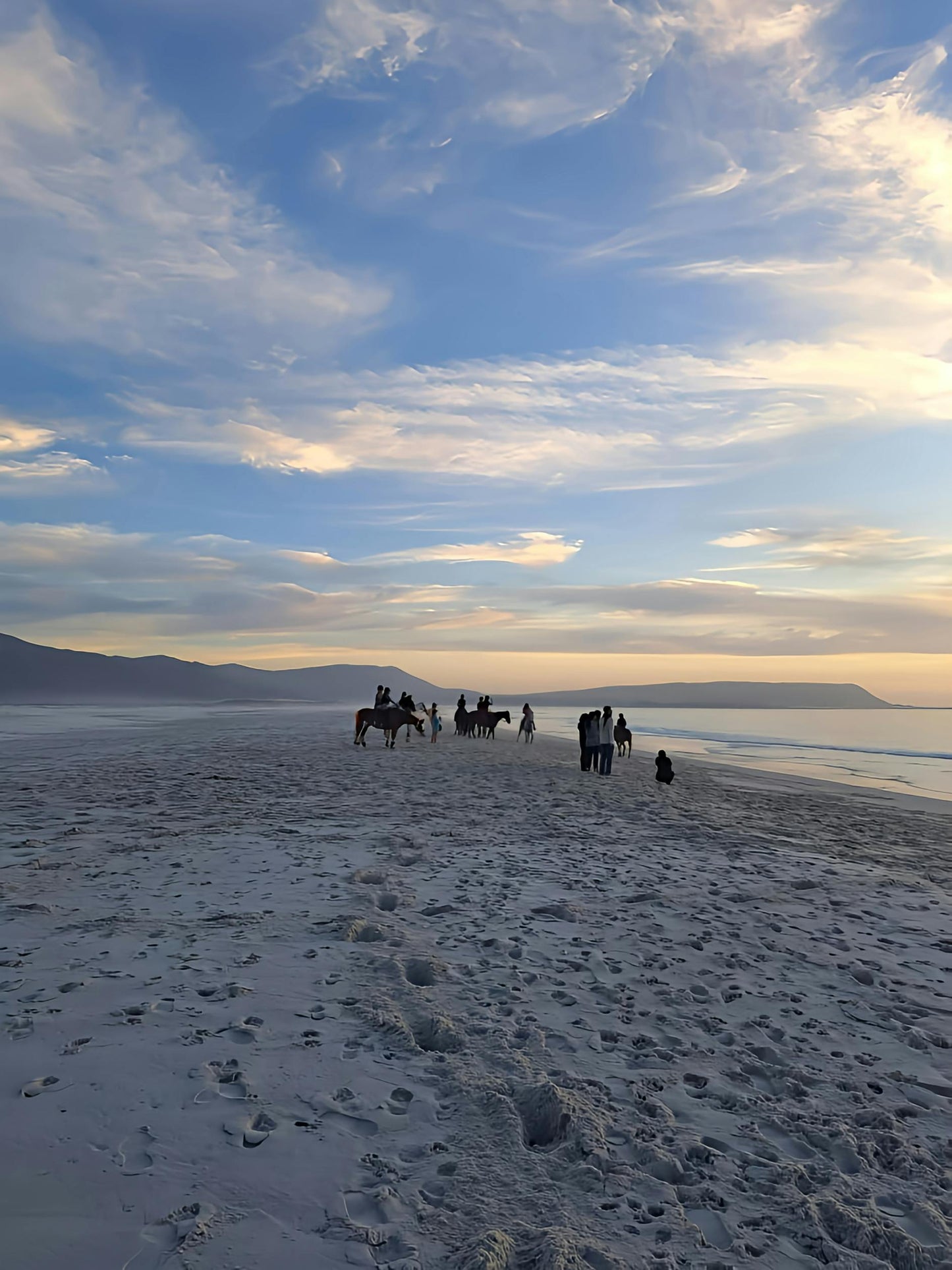 Florida, USA: 1-Hour Golden Beach Sunrise Horse Ride in Amelia Island