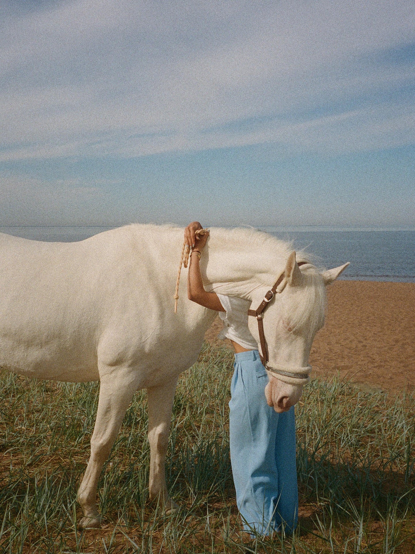 Melides: 1.75-Hour Beach and Dunes Horse Ride
