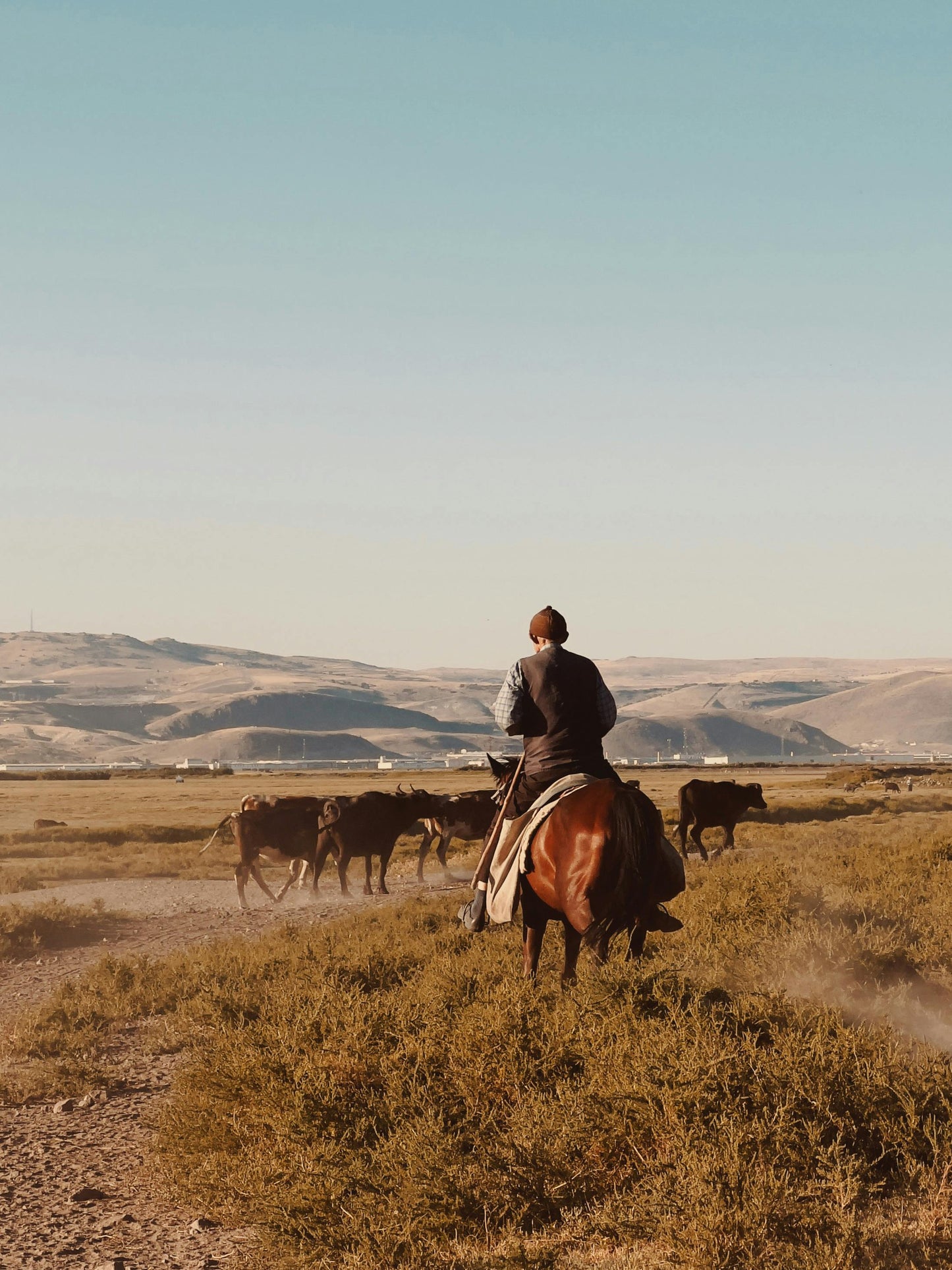 Utah, USA: 2-Hour Adventurous Horse Ride