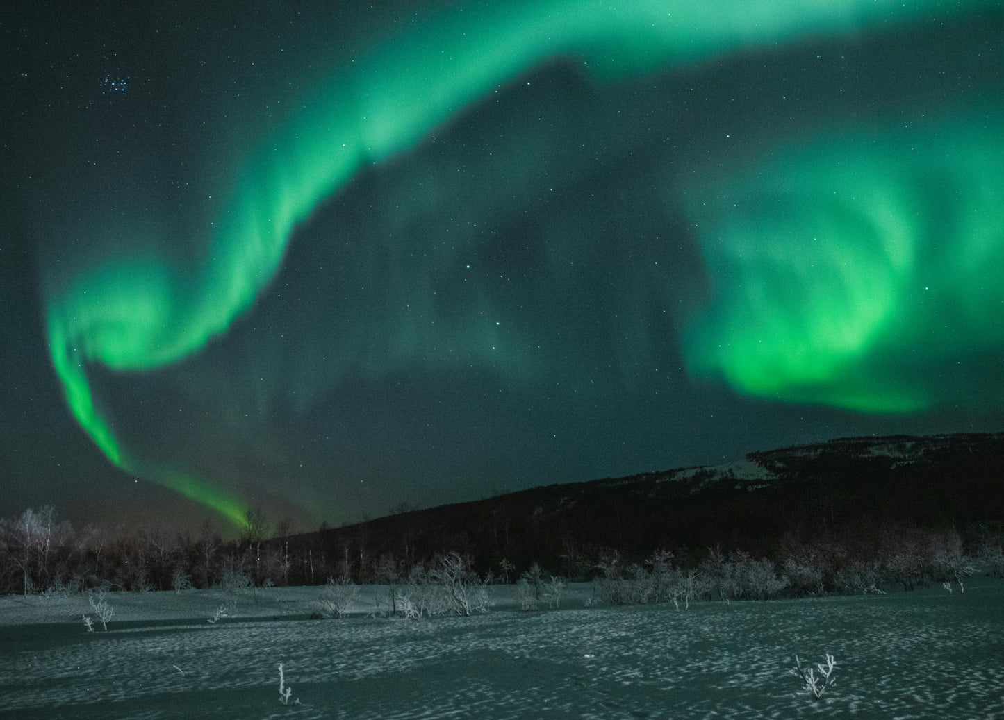 Lofoten, Norway: Ride Under the Northern Lights