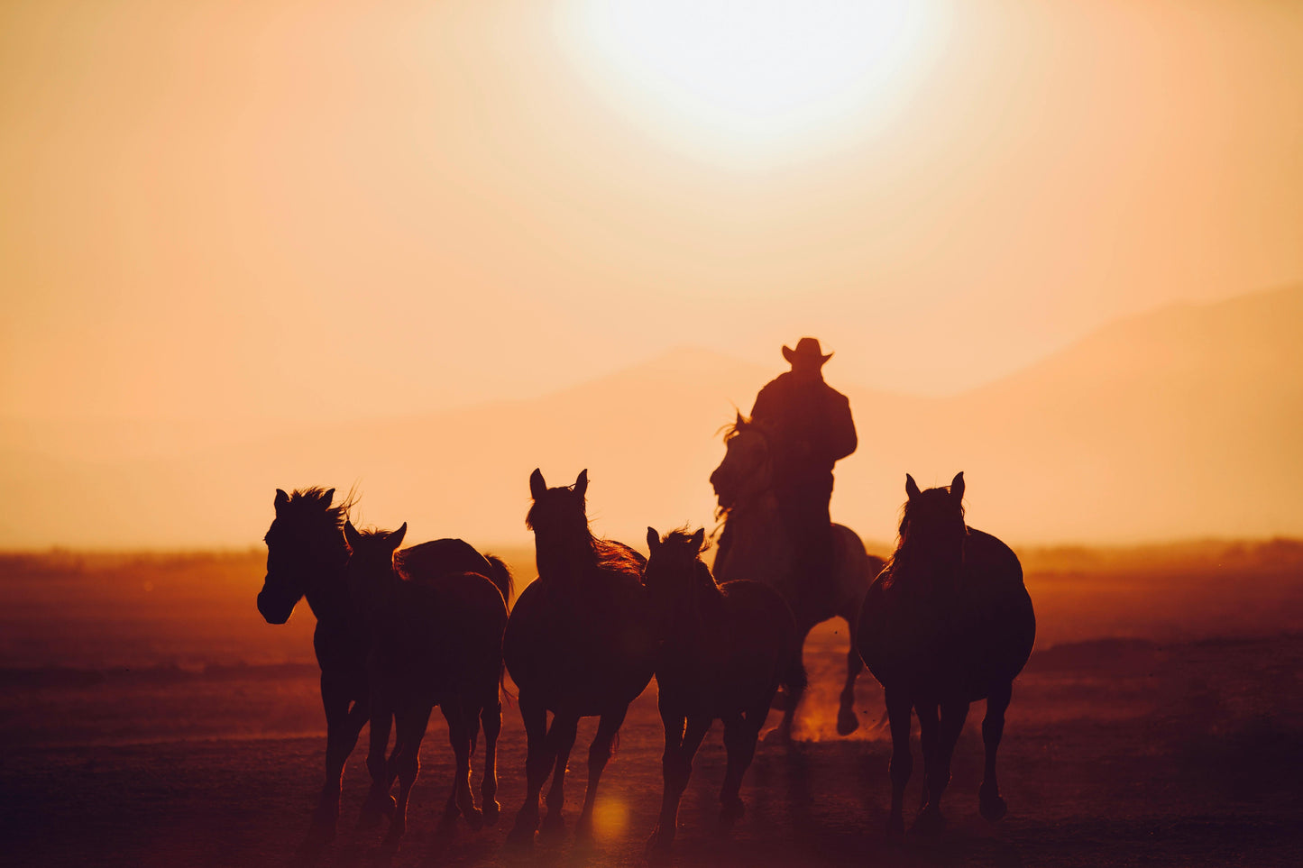 Lofoten, Norway: Midnight Sun Beach Horseback Ride