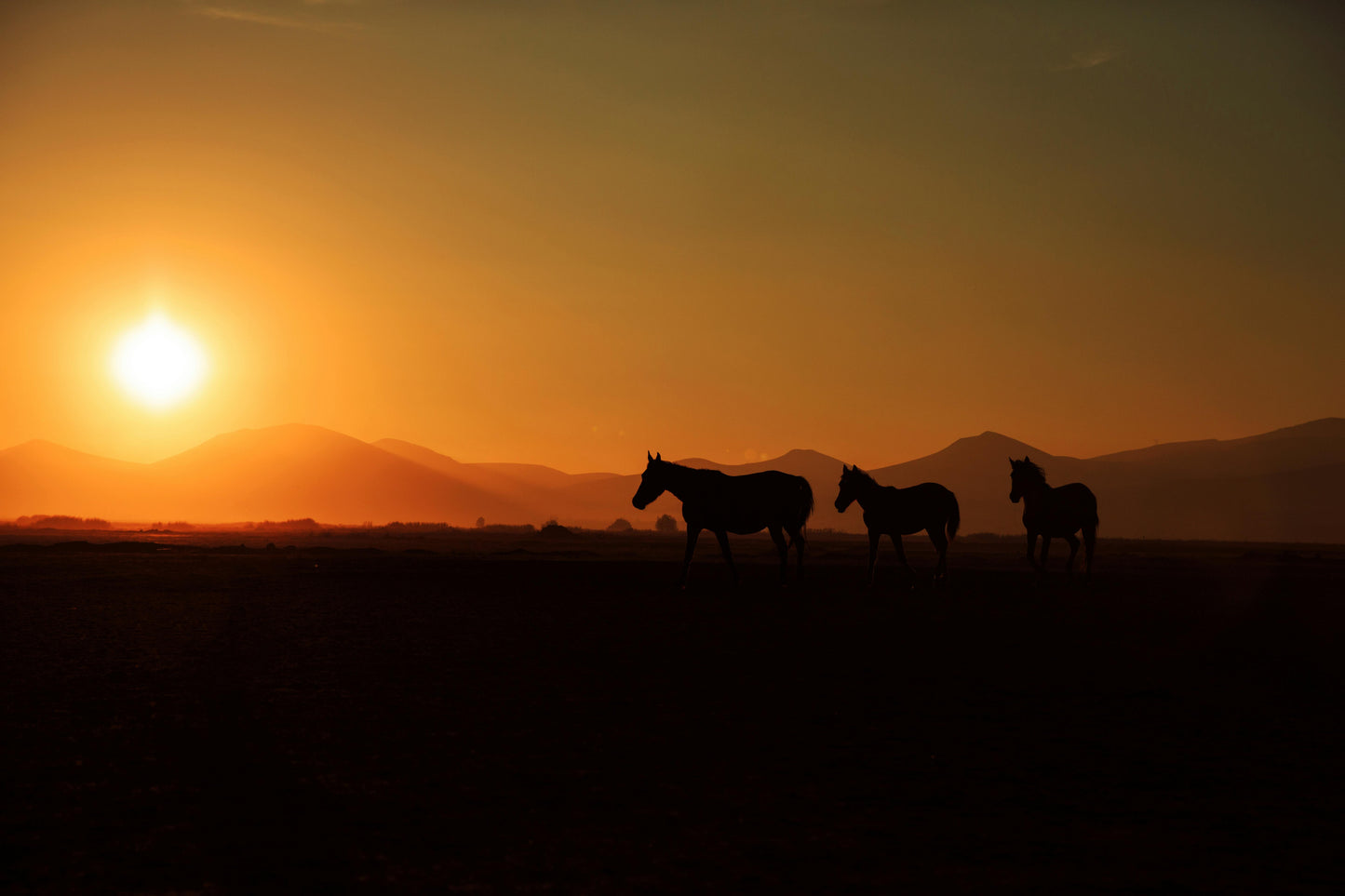 Lofoten, Norway: Midnight Sun Beach Horseback Ride
