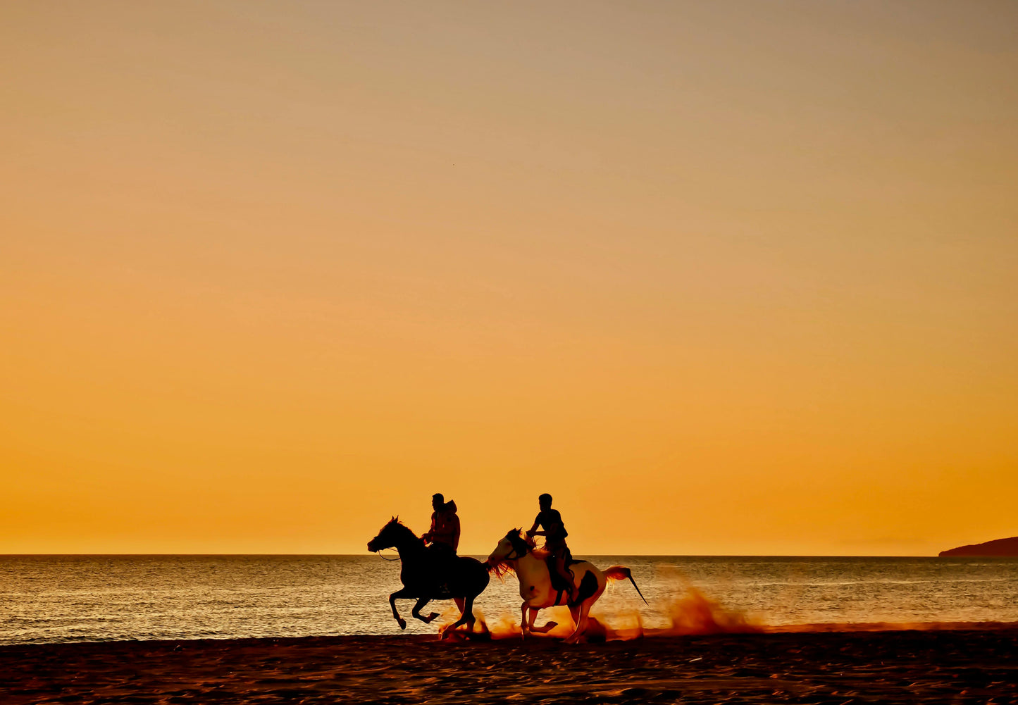 Florida, USA: 1-Hour Golden Beach Sunset Horse Ride in Amelia Island