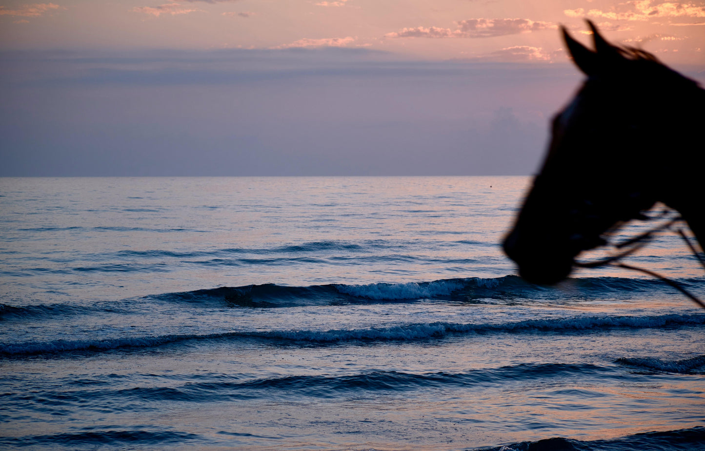 Luquillo, Puerto Rico: 2.5-Hour Beach Horseback Ride Experience
