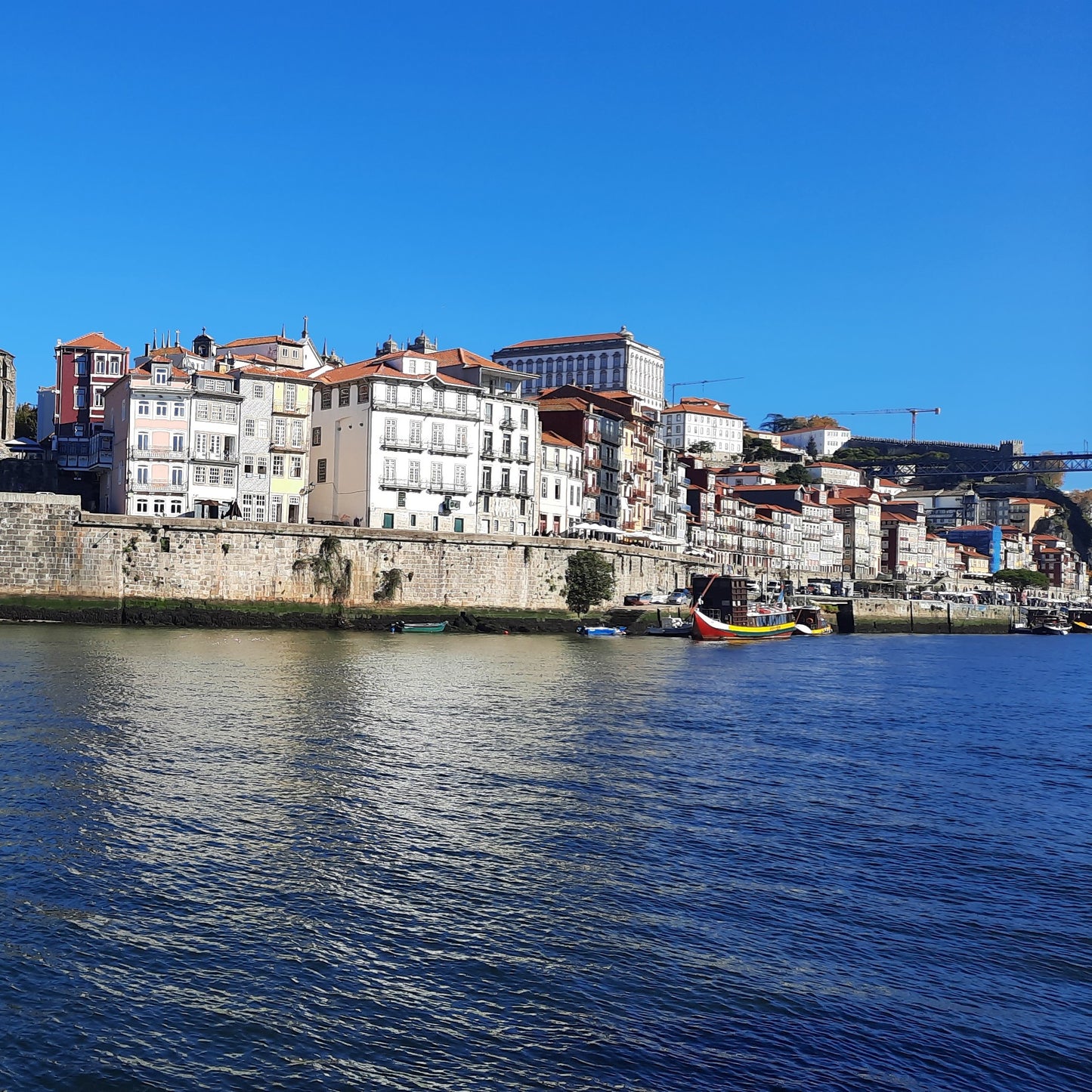 Porto City Day Tour – A Journey Through Culture, History & Wine