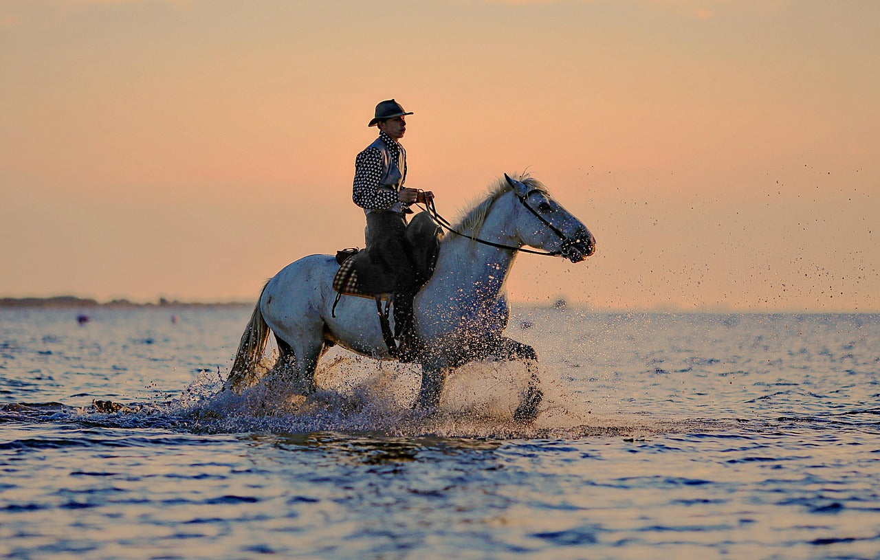 Matapalo, Costa Rica: 1-Hour Private Scenic Beach Ride