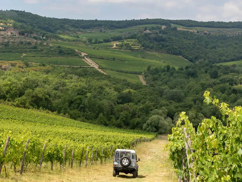 Florence to Tuscany Wine Safari