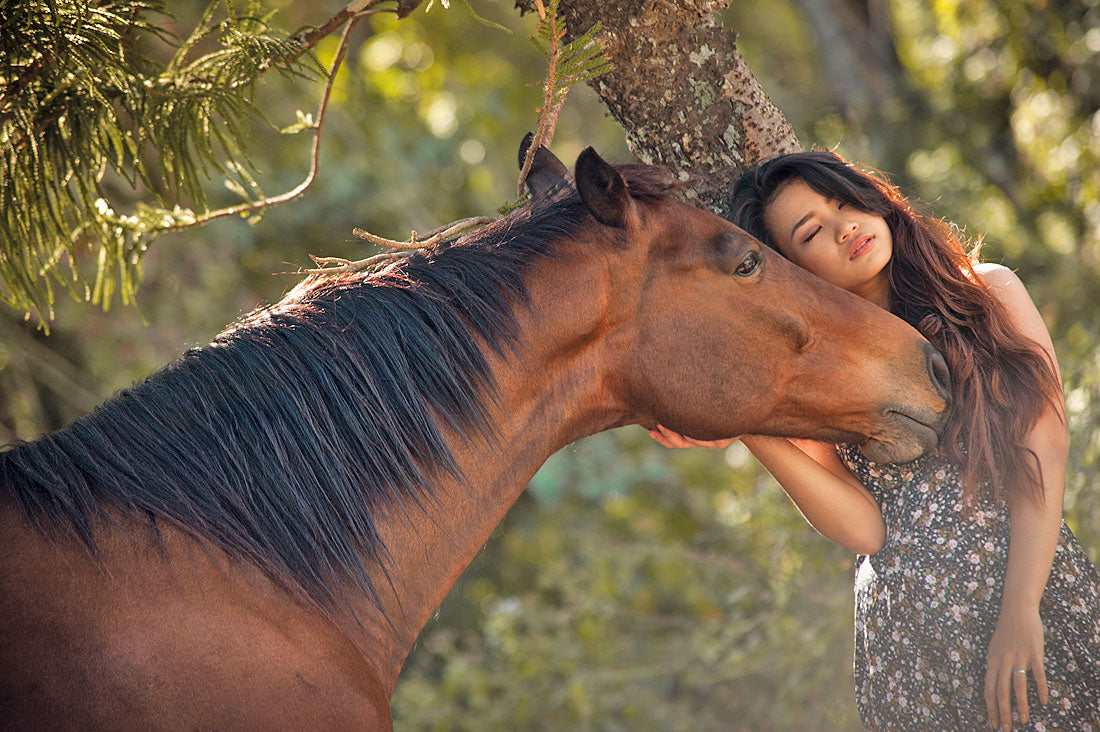 A Horseback Journey at El Kabayo