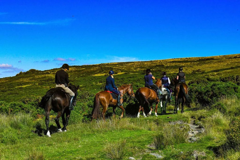 West Berkshire: Chase Hunter Horseback Ride Adventure + Pick-up Available