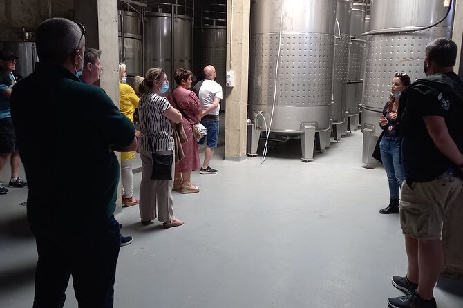 Winery, Wine & Tapas Tour in Albufeira