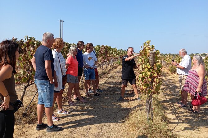 Winery, Wine & Tapas Tour in Albufeira