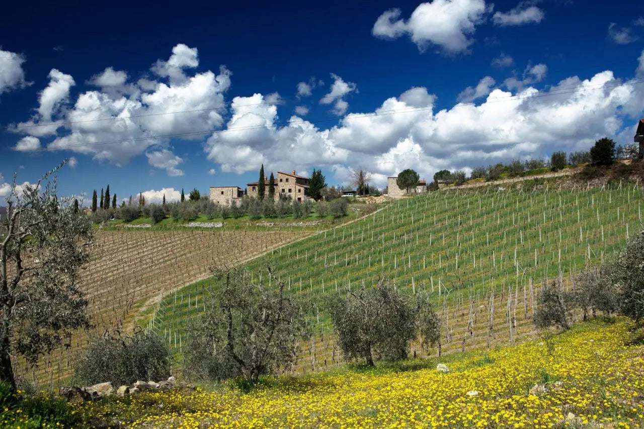 Tuscany Three-Day Wine and Spa Escape in Chianti