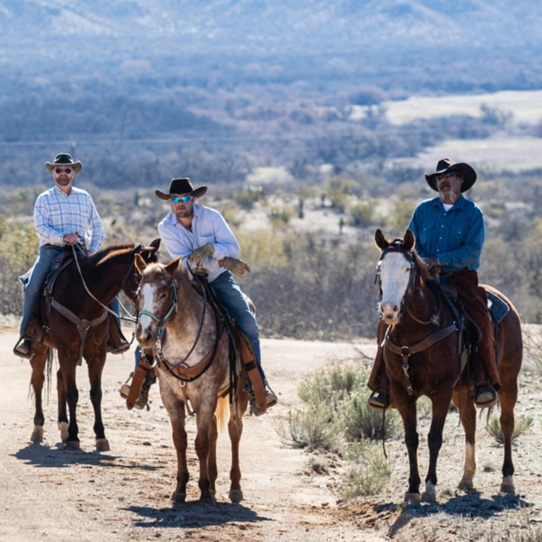 Elgin: Ancient Horseback Ride Adventure + Pick-up Available