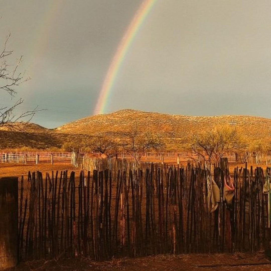 Elgin: Ancient Horseback Ride Adventure + Pick-up Available