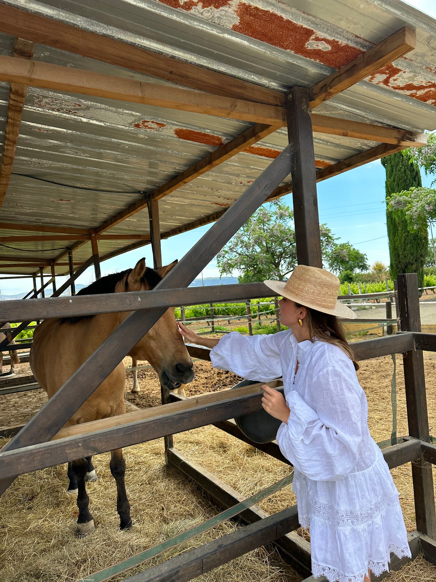 Balestrate, Sicily: 2 Hours Horseback Riding Tour through Countryside