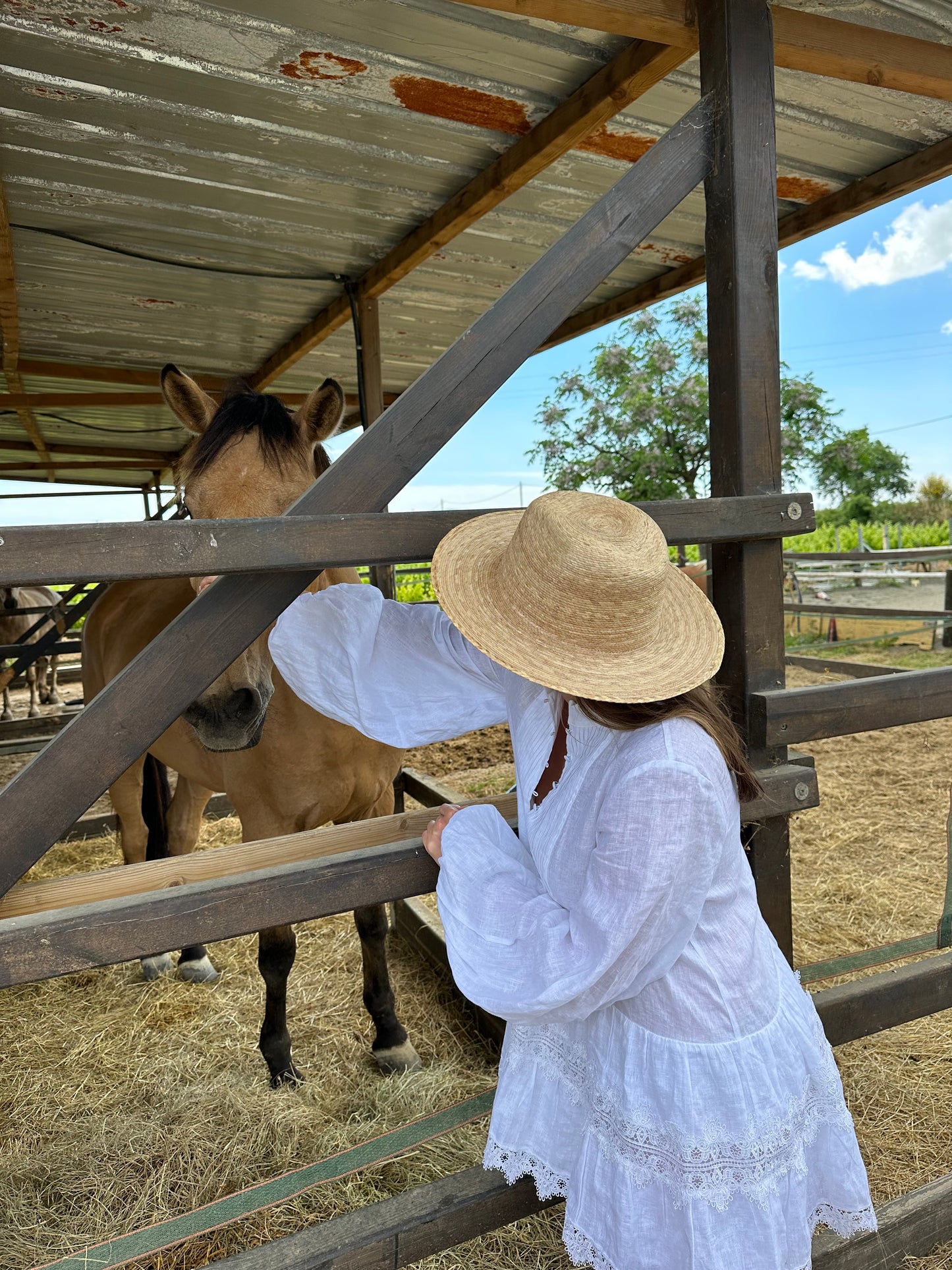 Balestrate, Sicily: 2 Hours Horseback Riding Tour through Countryside