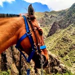 Mendoza: Mountain Escape Horseback Rides + Pick-up & Drop-off